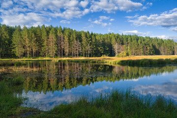 Summer landscape, forest trees are reflected in calm river water against a background of blue sky and white clouds.