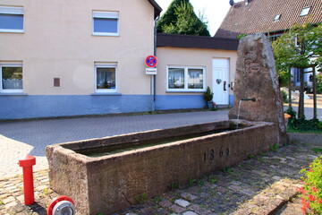 Fototapete bei efototapeten.de bestellen   