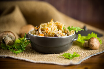vegetarian cooked rice with mushrooms in a ceramic bowl