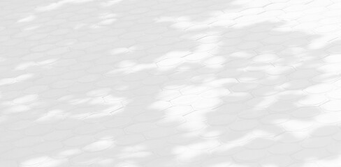 Abstract Shadow. blurred background. gray leaves that reflect concrete walls on a white wall surface for blurred backgrounds and monochrome wallpapers.
