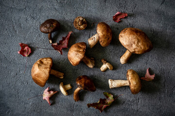 Boletus mushrooms. Healthy and delicates food.
