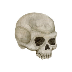 Watercolor spooky skull illustration 