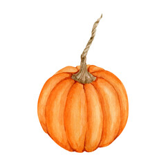Watercolor orange pumpkin vegetable
