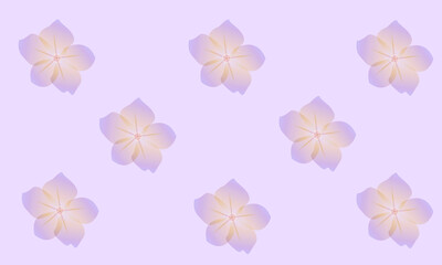 Violet pattern