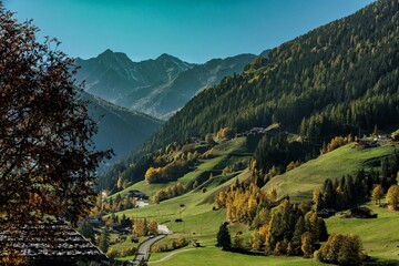 Fototapete bei efototapeten.de bestellen   