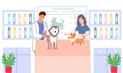 Veterinary clinic, doctors examine dogs, vector graphics