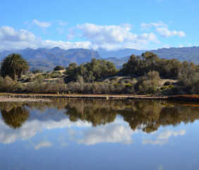 Dunes with vegetation reflected in the water, mountains and blue sky, Maspalomas, Gran Canaria