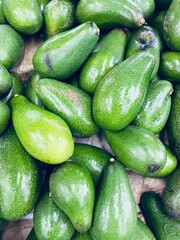 Close-up photo of Avocado in market. Group of fruits background. 