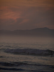 Person bathing and people surfing during sunset in Zumaia.
