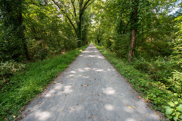 path in the park