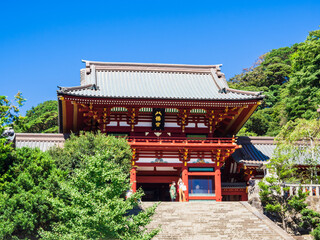 鎌倉　鶴岡八幡宮　本宮