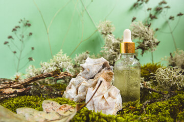 Natural eco-friendly organic cosmetics on the background of moss, leaves and tree bark.