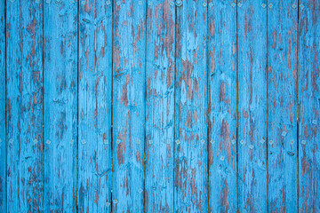 Fototapeta na wymiar old fence with peeling blue paint