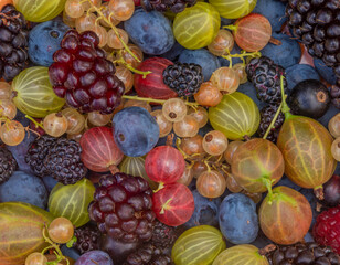 Mixed color garden fruit on wooden brown table and orange and green dish