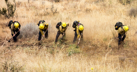 Firemen firefighters in dry grass fighting the last of a fire preparing a firebreak. 