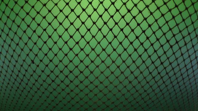 Fish in the fishing net: Through the fishing net you can see the movement of the silhouettes of fish inside.