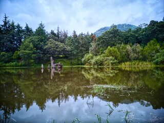 Obraz premium lake in the park