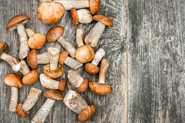 group of forest white edible mushrooms on a wooden table.