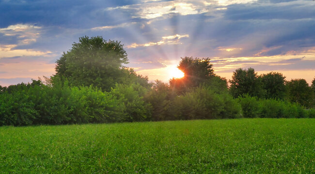 Sunset with a yellow sun and sun rays thru trees. High quality photo. With clouds and sky