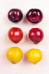 Red, yellow plum fruit top view on the white background isolated