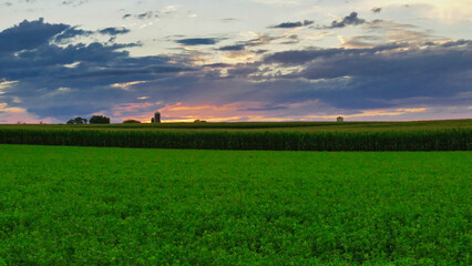 Sunset over farmlands and corn fields with clouds and blue sky. High quality photo. Silos and trees