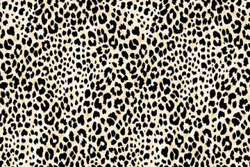 leopardo pattern sombra - obrazy, fototapety, plakaty