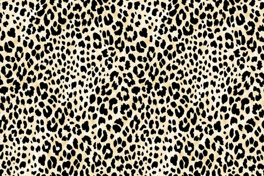 leopardo pattern sombra