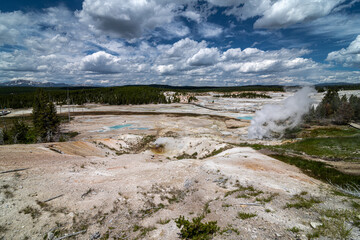 Norris Geyser Basin, Yellowstone National Park