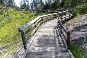 Fototapeta premium Mud Volcano Area, Yellowstone National Park