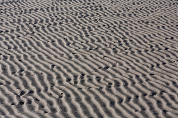Bodenstrukturen im Watt