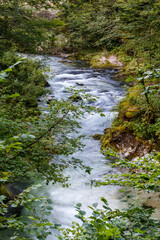 Sommerlicher Weissbach bei Weissbach, Schneizlreuth