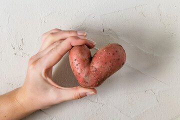 Ugly potato in the heart shape in hands on a gray concrete background. Funny, unnormal vegetable or...