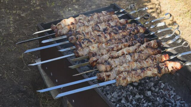 Pieces of meat on skewers. Cooking raw meat on coals. Barbecue on the grill.
