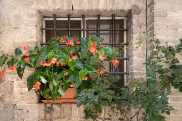 Fototapeta na wymiar A basket of bright pink and red flowers hangs on the window of a home in an ancient building in Italy