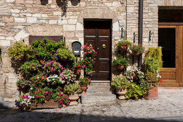 Fototapeta premium Colorful flowers outside a home in the Italian hill town of Assisi