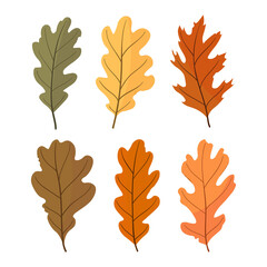 Autumn Set of colorful leaves. Vector illustration.