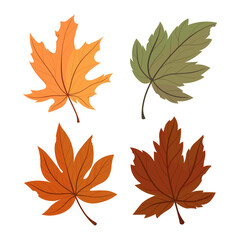 Autumn Set of colorful leaves. Vector illustration.
