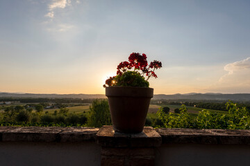 Mediterranean vineyardview with geranium pot on a terras wall
