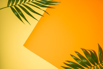 Top view of green tropical leaves