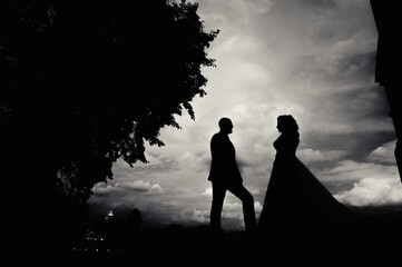 The beautiful bride is in a long white dress and groom on the background of a mountains