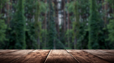 Fototapeta na wymiar Wooden table in the woods, sleepy light. Empty wooden table top on nature background.