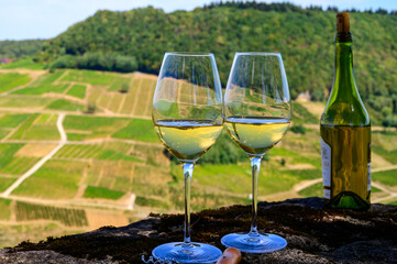 Tasting of white or jaune Jura wine on vineyards near Chateau-Chalon village in Jura region, France