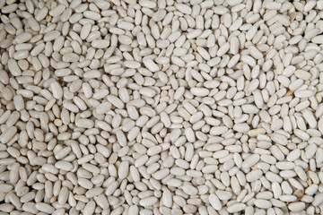 white dry beans close-up, background