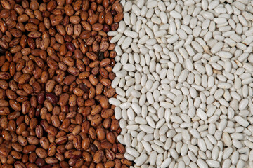 red and white dry beans close-up, background