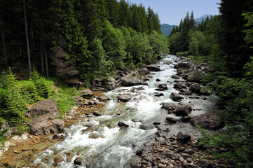 torrent near Lake of Fortebuso, Dolomites, Italy.