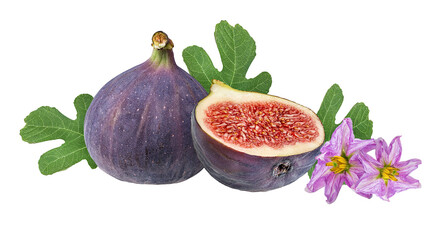 Figs isolated on a white background.