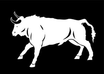 Vector white color ox isolated on black bacground, illustration