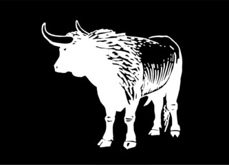 Vector white color ox isolated on black bacground, illustration