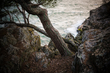Archipelago in Sweden