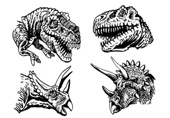 Vector set of dinosaurs' portraits isolated on white, tyrannosaurus and triceratops © Vita